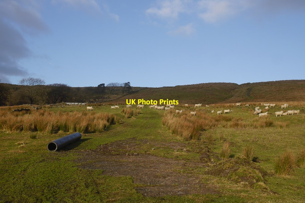 Photo 6"x4" British Waterways road, Corrie Kilsyth c2017