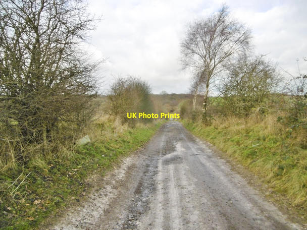 Photo 6"x4" Everleigh, former turnpike road East Everleigh c2017