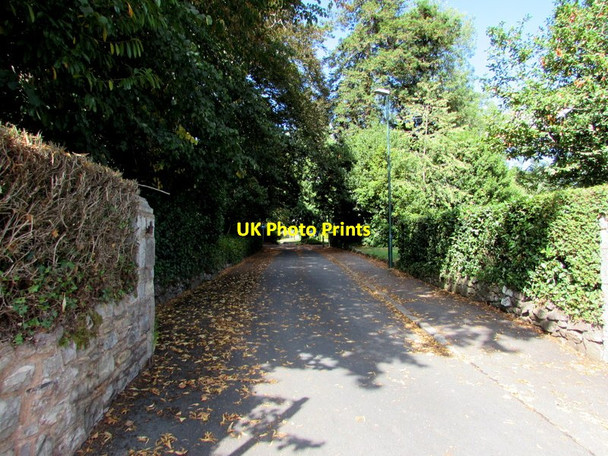 Photo 6"x4" Entrance road to Hope Hall, University of Exeter Exeter c2016