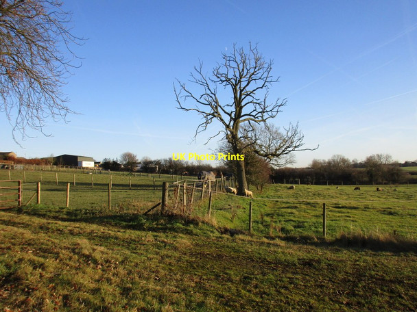 Photo 6"x4" Enjoying the winter sun Felkirk c2017