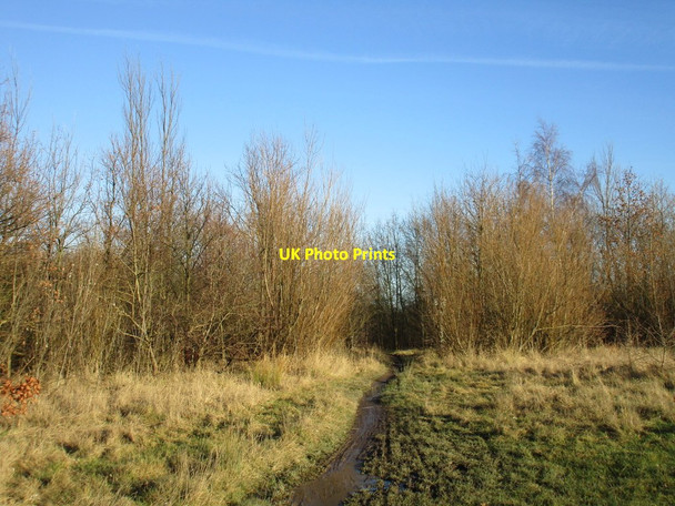 Photo 6"x4" Footpath to Santingley Lane Crofton\/SE3817 c2017