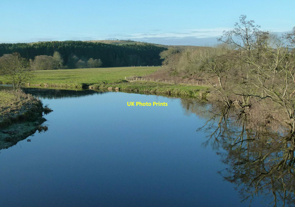 Photo 6"x4" Placid Coquet Healey Cote c2016