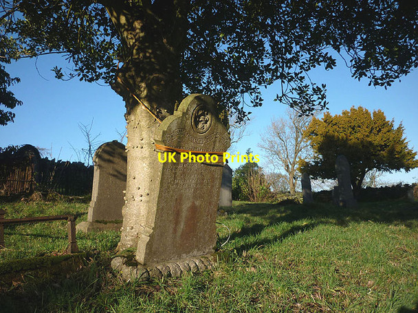 Photo 6"x4" Not done yet? Tottlebank\/SD3184 c2017