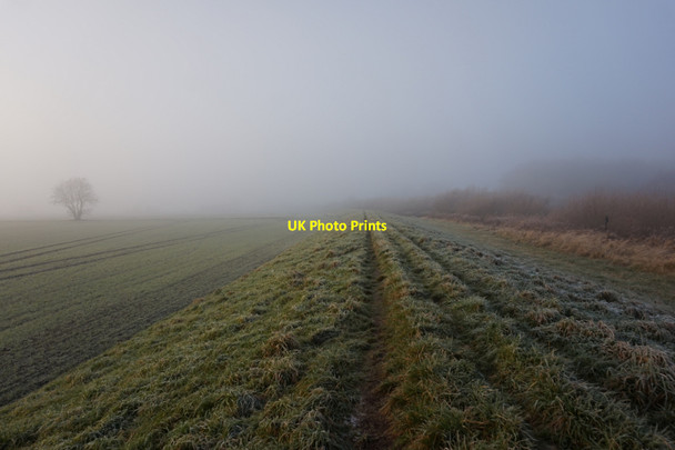 Photo 6"x4" Riverside path towards Cawood Dawker Hill c2016