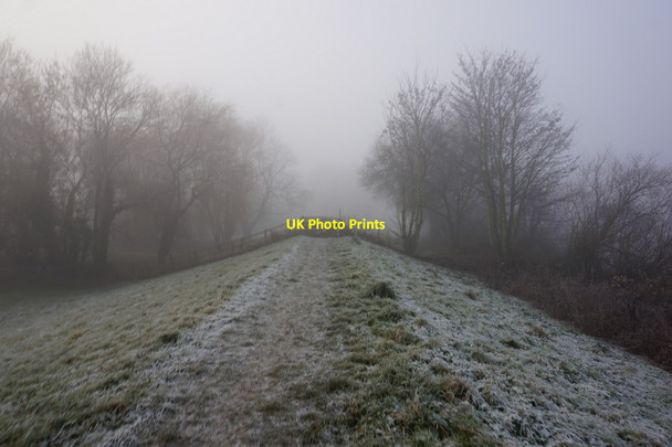 Photo 6"x4" Riverside path towards Cawood Kelfield\/SE5938 c2016 P1