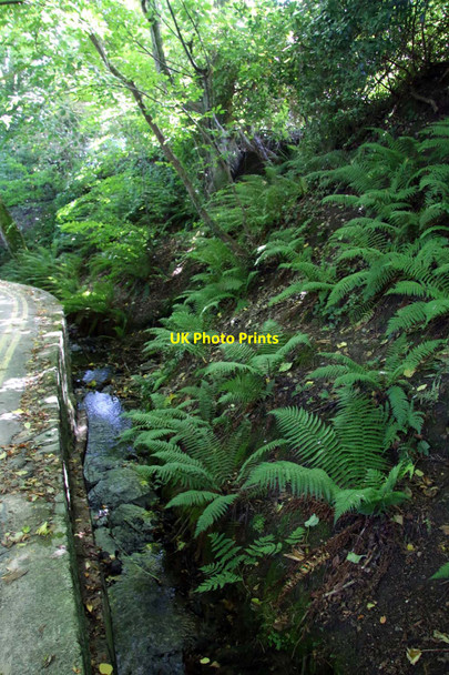Photo 6"x4" Stream down to the beach Llanbedrog c2015
