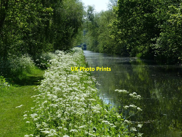 Photo 6"x4" Looking south along the Grantham Canal Stenwith c2014