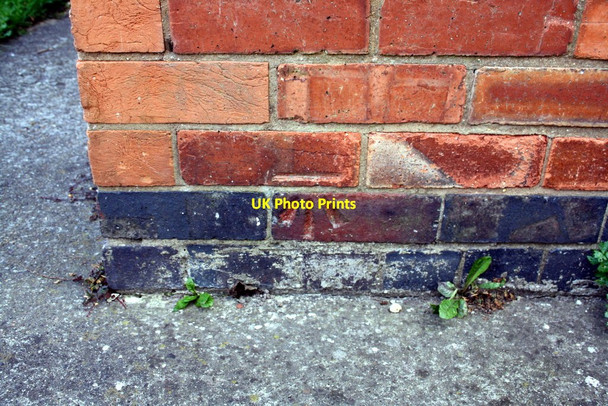 Photo 6"x4" Benchmark on #6 Bancroft Road Newark-on-Trent c2016
