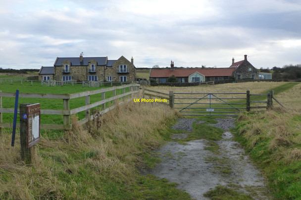 Photo 6"x4" Newtown above Budle Bay Bamburgh c2017