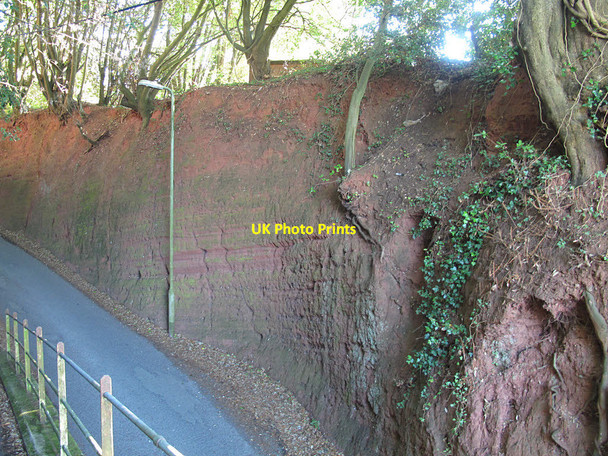 Photo 6"x4" East side of Strand Hill Dawlish c2016
