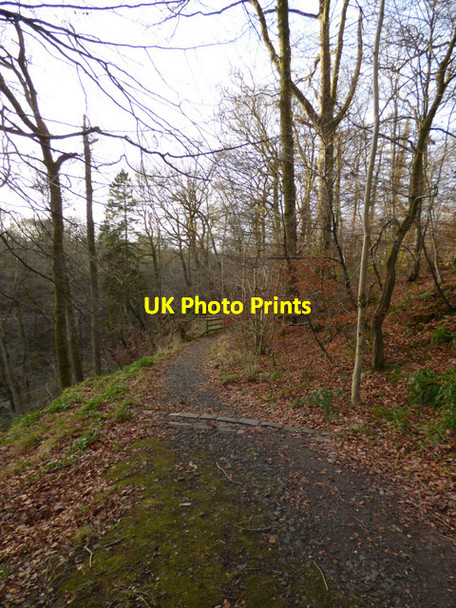 Photo 6"x4" Daff Glen footpath Inverkip c2016