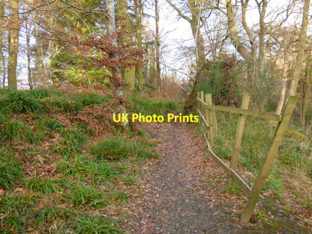 Photo 6"x4" Daff Glen footpath Inverkip c2016