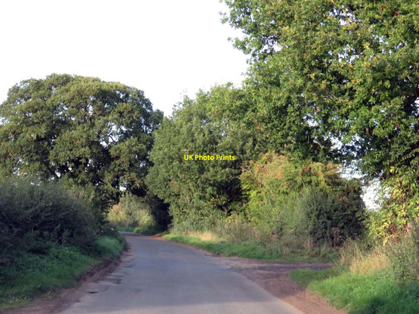 Photo 6"x4" Rural road to Cuxham Upperton\/SU6594 c2015