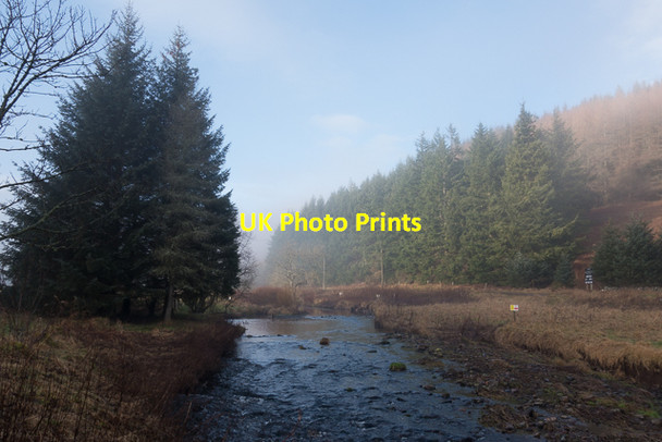 Photo 6"x4" Misty morning by the River Devon Glendevon\/NN9904 c2017