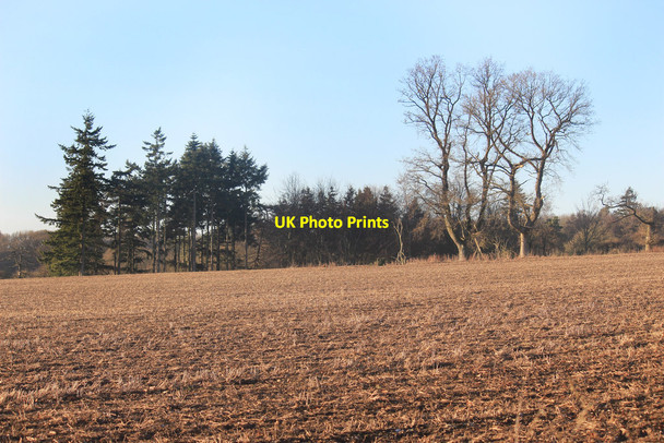 Photo 6"x4" Princess Copse, Crooked Soley Chilton Foliat c2017