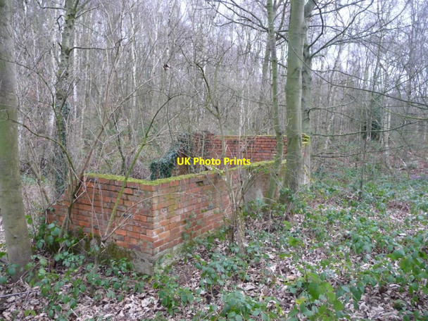 Photo 6"x4" Ruined pumphouse, Seckar Wood Newmillerdam c2017
