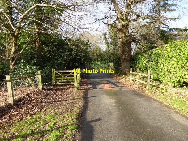 Photo 6"x4" Footpath goes west to Brighton Road Shermanbury c2017