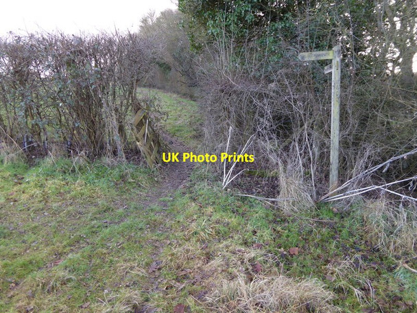Photo 6"x4" Footpath goes through break in the hedge West End\/TQ2016 c2017