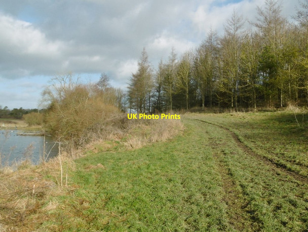 Photo 6"x4" Crofton, footpath Crofton\/SU2662 c2017