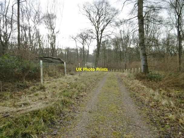 Photo 6"x4" Wilton Brail, track Crofton\/SU2662 c2017