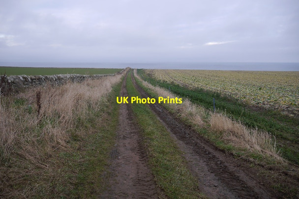 Photo 6"x4" Farm road, Chesterhill Boarhills c2017