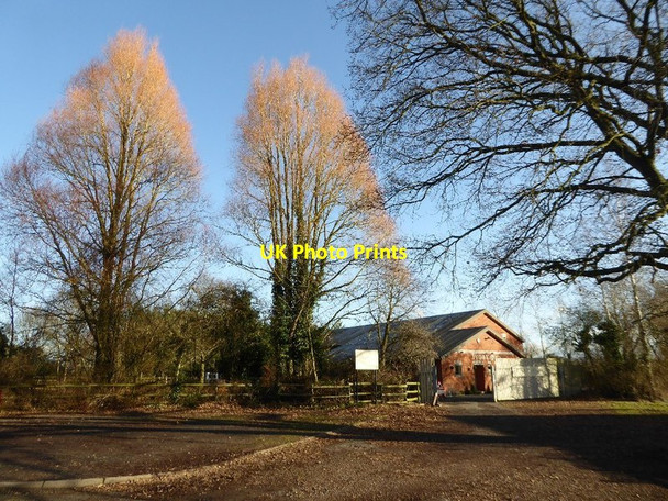 Photo 6"x4" Trees in Earl's Croome Baughton c2017