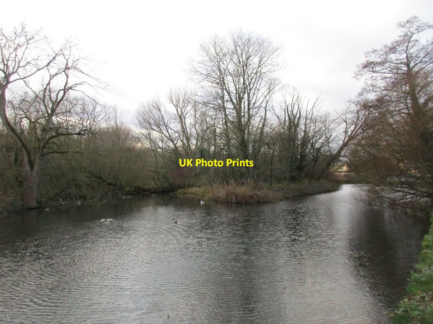 Photo 6"x4" The River Hull or West Beck Driffield\/TA0258 c2017