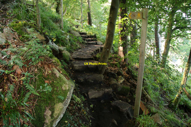 Photo 6"x4" The Wales Coast Path near Llanbedrog Llanbedrog c2015