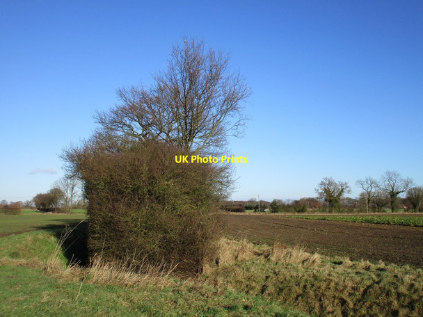 Photo 6"x4" Bend in the drain Woodhall\/SE6931 c2017