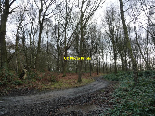Photo 6"x4" Track heading south, Houghton Common Grimethorpe c2017