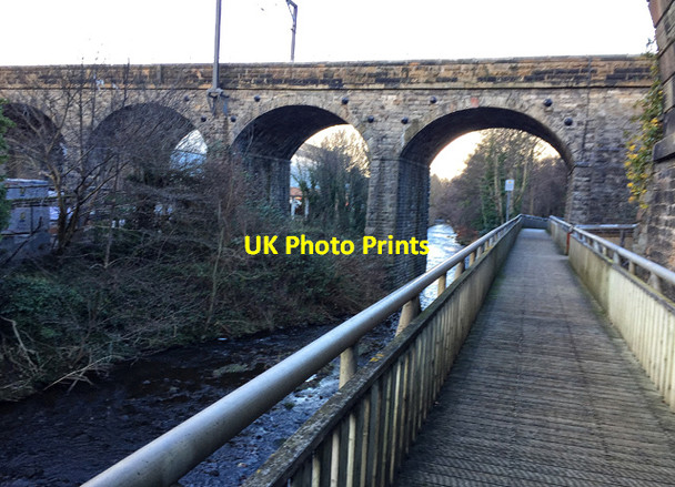 Photo 6"x4" Walkway by the Water of Leith Craiglockhart c2017