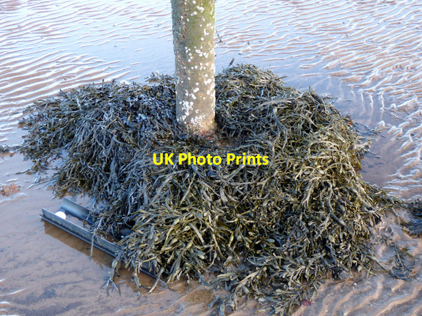 Photo 6"x4" Measured Mile post in the Clyde at Parklea Parkhill\/NS3573 c2017