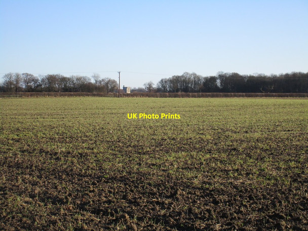 Photo 6"x4" View towards Wressle Castle Woodhall\/SE6931 c2017
