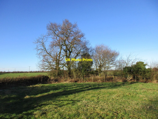 Photo 6"x4" Trees around a pond near Menthorpe Menthorpe c2017