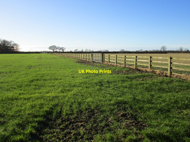 Photo 6"x4" Long fence near Chapel Farm, North Duffield North Duffield c2017