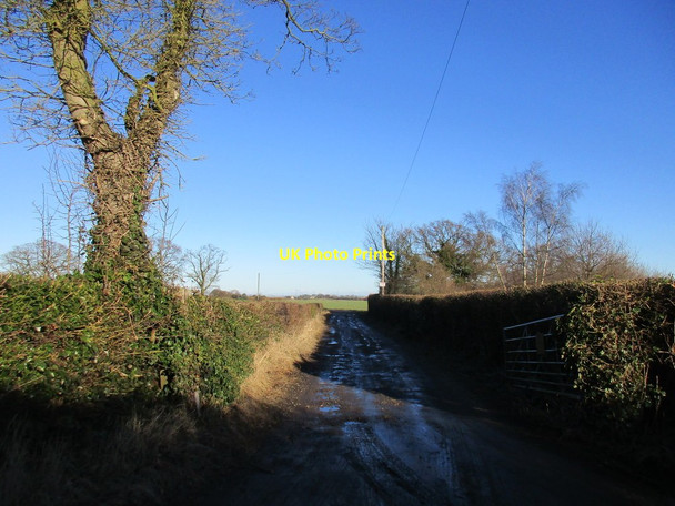 Photo 6"x4" Roadway to Hall Farm, North Duffield North Duffield c2017