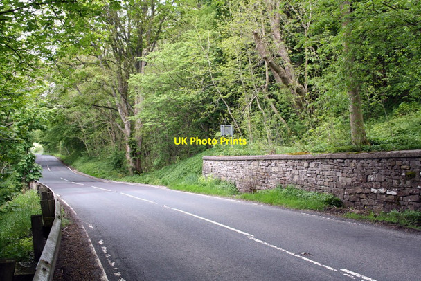 Photo 6"x4" A6108 near West Wood Clints\/NZ1000 c2016