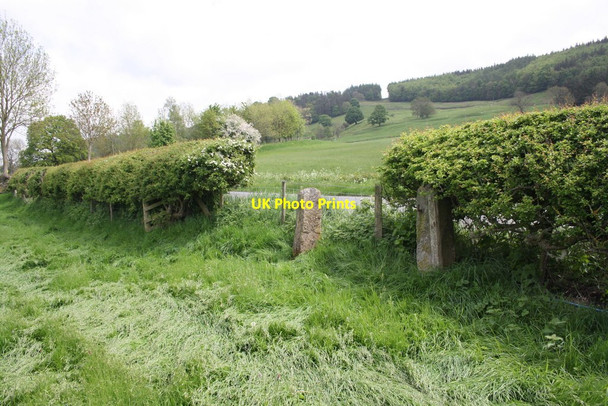 Photo 6"x4" Former gateway to field on north side of A6108 Clints\/NZ1000 c2016