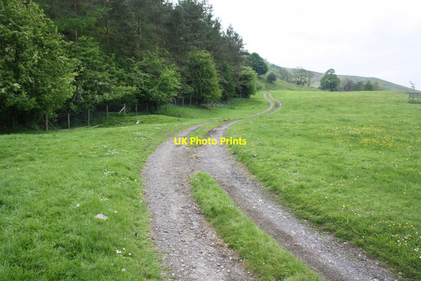Photo 6"x4" Farm track passing woodland at Thorpe House Clints\/NZ1000 c2016