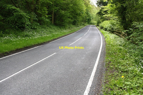 Photo 6"x4" A6108 at Hag Wood Hudswell\/NZ1400 c2016