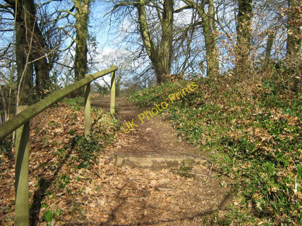 Photo 6"x4" Fyne Court nature trail 3 Broomfield\/ST2232 c2009