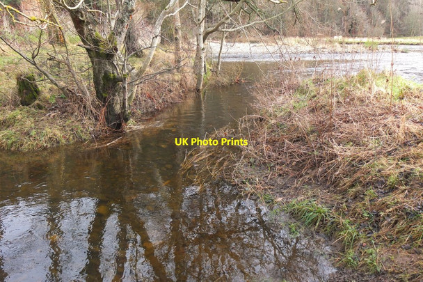 Photo 6"x4" End of the Innerleithen mill lade at the River Tweed Innerleithen c2017