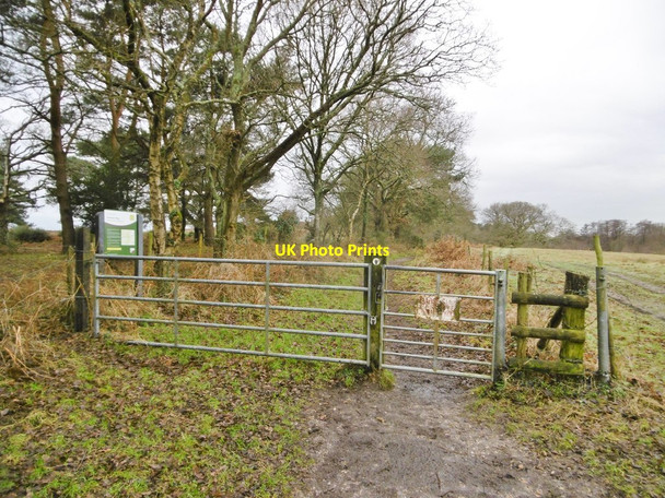 Photo 6"x4" Morden, gate Sherford\/SY9193 c2017