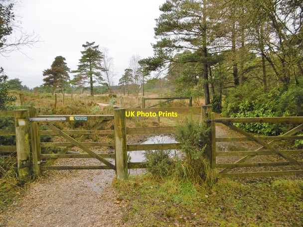 Photo 6"x4" Morden, gates Sherford\/SY9193 c2017
