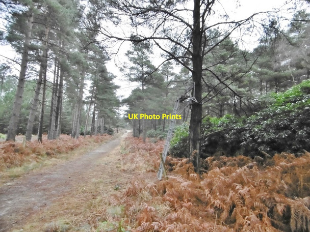 Photo 6"x4" Morden, high seat Sherford\/SY9193 c2017