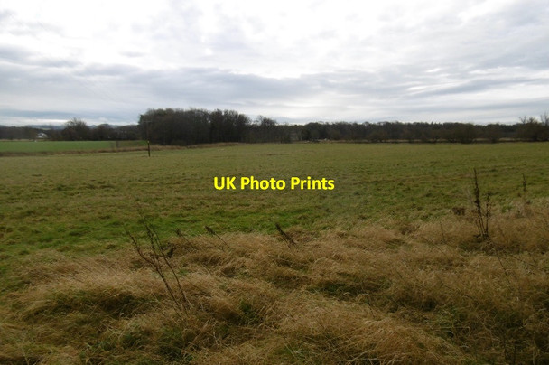 Photo 6"x4" Rough grass, Luffness Links Gullane c2017