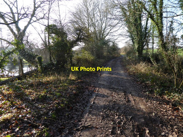 Photo 6"x4" Path between lake and wood Blackstone\/TQ2416 c2017