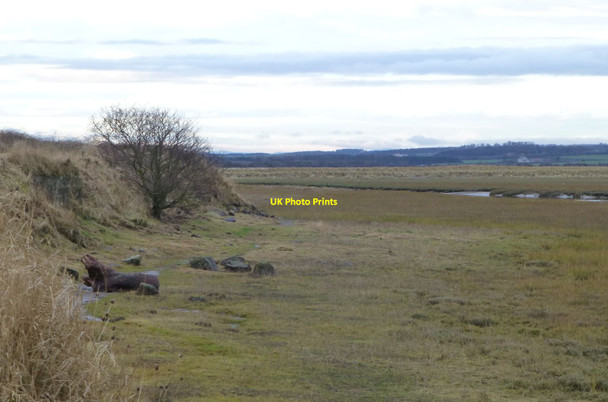 Photo 6"x4" Looking along the coastline from Beal Point Beal\/NU0642 c2017