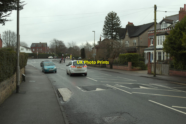Photo 6"x4" Lidgett Lane, Lidgett Park Chapel Allerton\/SE3037 c2017