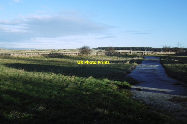 Photo 6"x4" Muirfield Park, Gullane Gullane c2017